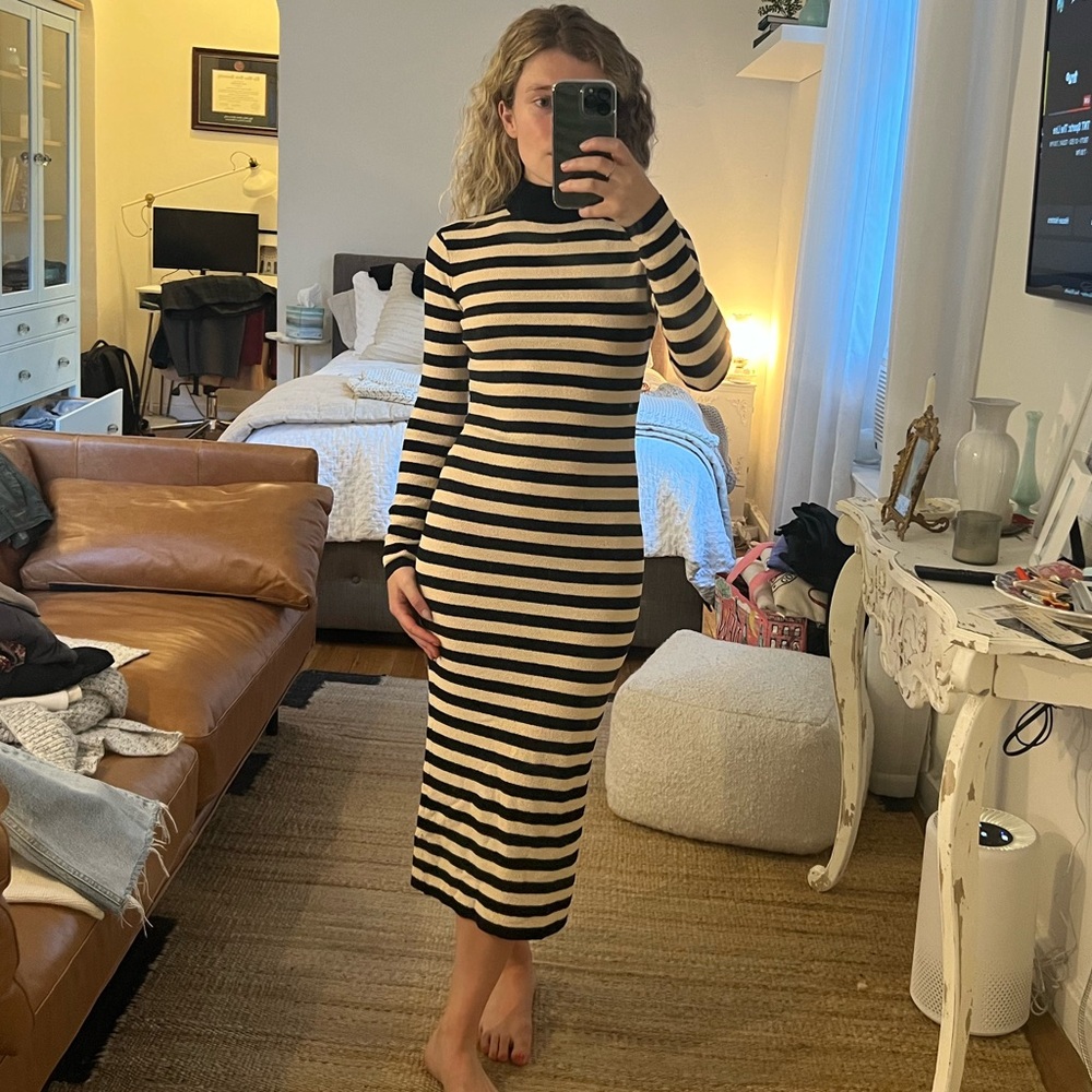 Zara striped turtleneck dress